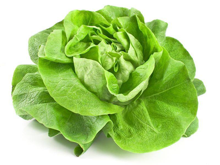 Sałata Masłowa 1 szt.