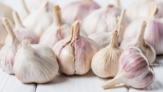 Czosnek: Podstawa Aromatów w Kuchni Świata