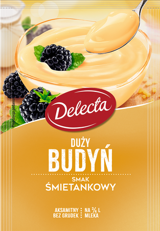 Budyń Delecta Duży Śmietankowy 64G
