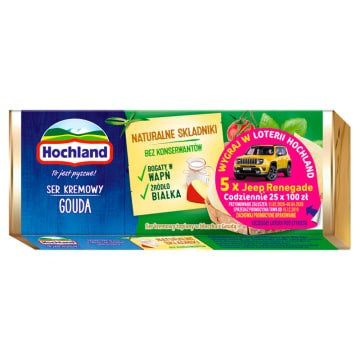 Ser Topiony Hochland Gouda 90G